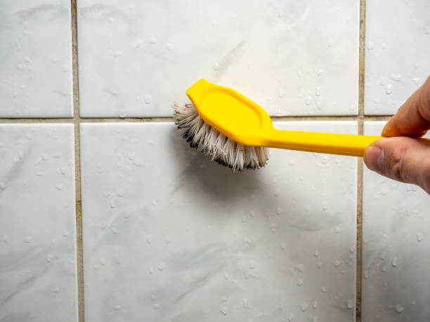 Best Black Mold Removal  in Glen Lyon, PA
