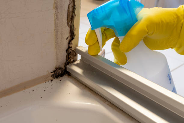 Best Mold Testing  in Glen Lyon, PA