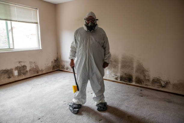Best Commercial Mold Removal  in Glen Lyon, PA