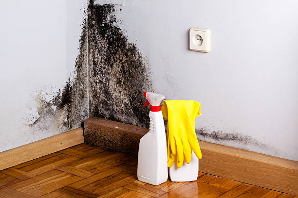 Best Crawl Space Mold Removal  in Glen Lyon, PA
