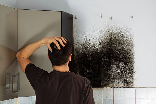 Best Water Damage Restoration  in Glen Lyon, PA