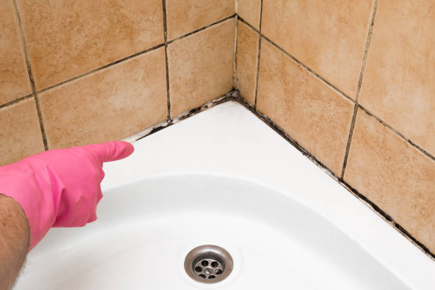 Home Mold Removal in Glen Lyon, PA